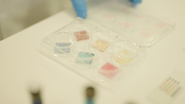 Small trays of coloured bio ink