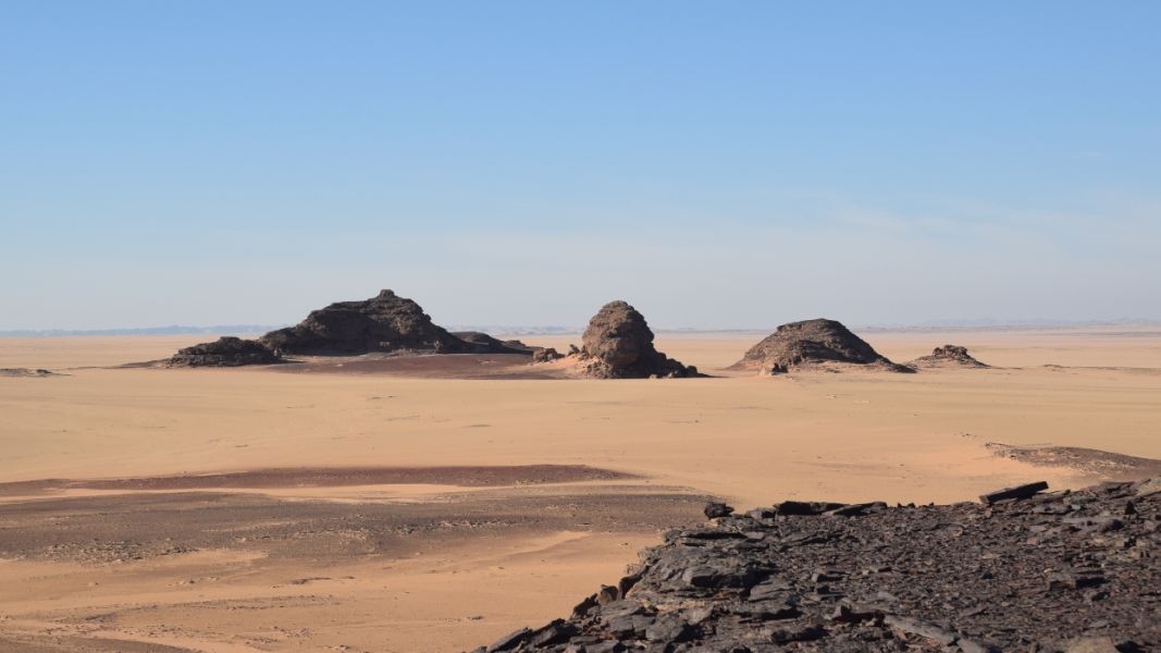 Rock art of boats and cattle found in the middle of Sudanese desert