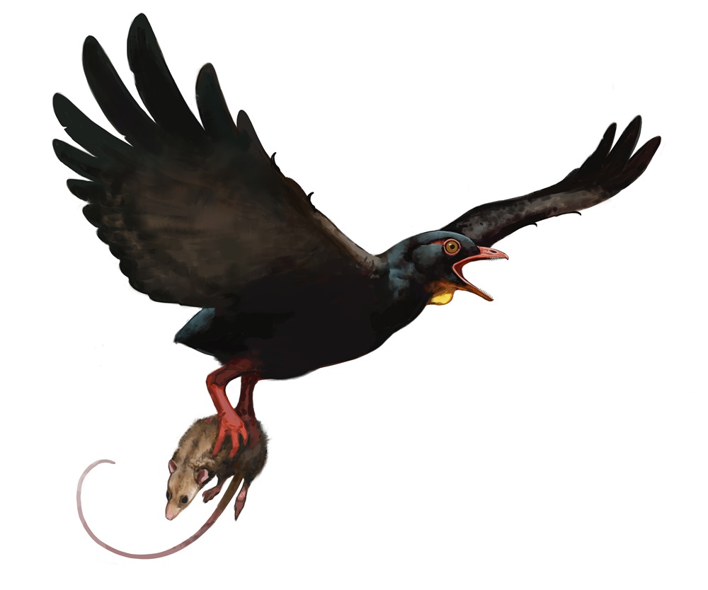 illustration of ancient bird carrying small mammal